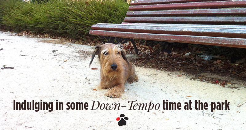 Felipe indulging in some Down-Tempo time at the park