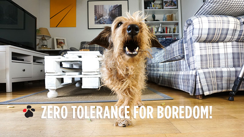 Zero tolerance for boredom