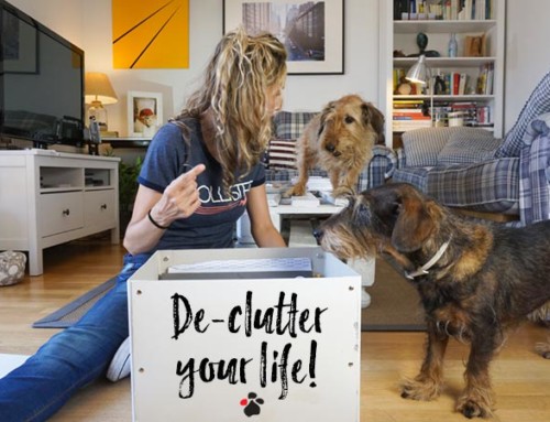 Afternoons with Felipe | De-clutter your life